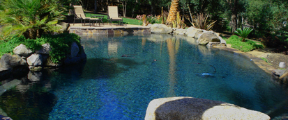 Swimming Pool Builder Roseville, CA